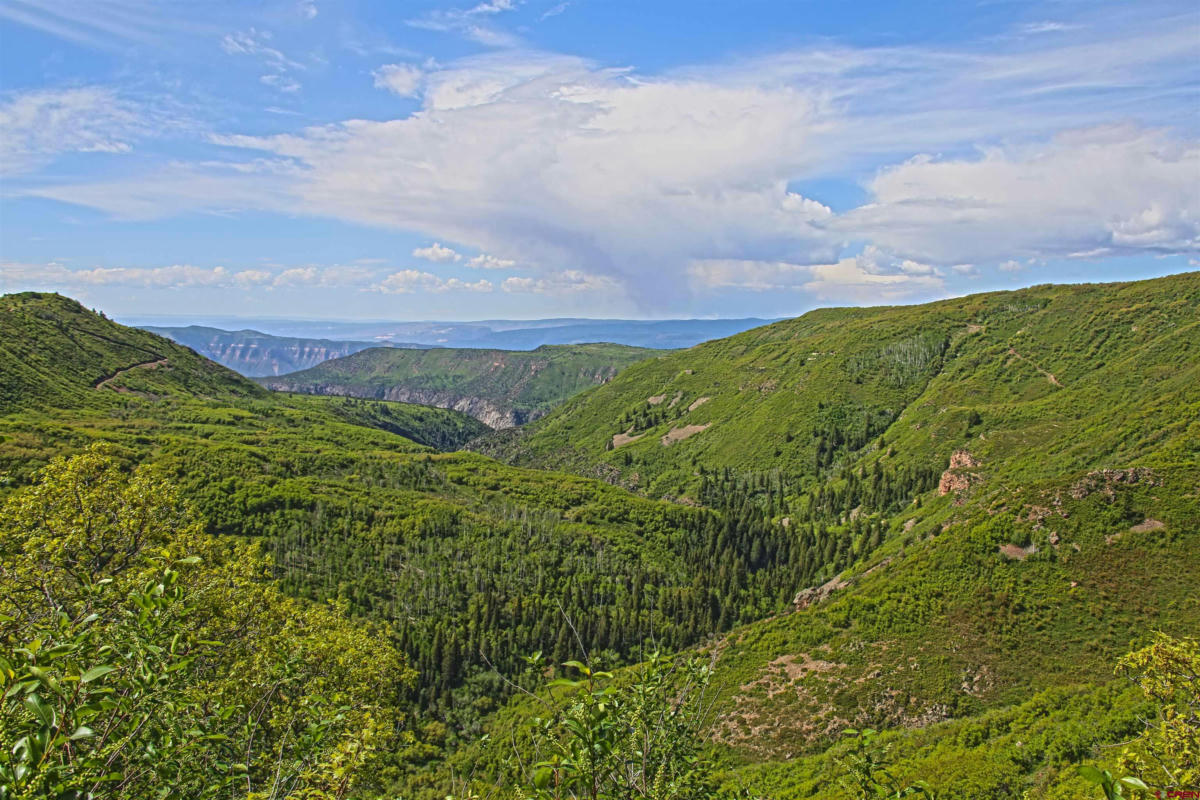 TBD HWY 141, GATEWAY, CO 81522, photo 1 of 22