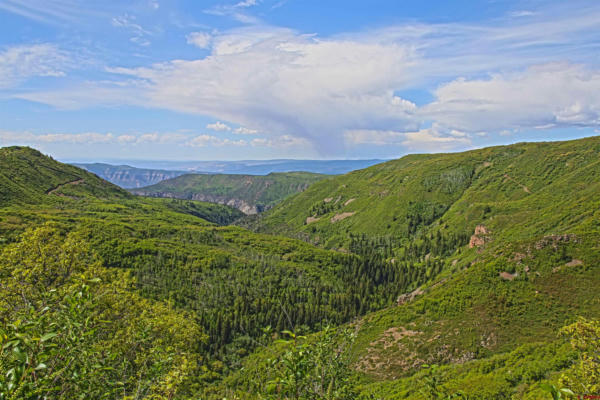 TBD HWY 141, GATEWAY, CO 81522 - Image 1