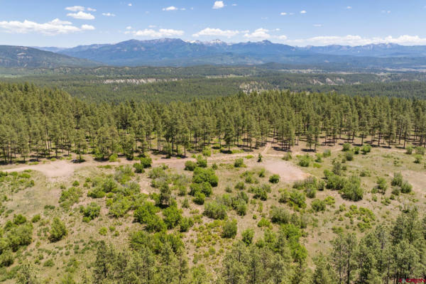 X PINEY PLACE, PAGOSA SPRINGS, CO 81147 - Image 1
