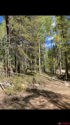 TBD CO RD 888, WHITE PINE, CO 81248, photo 4 of 10