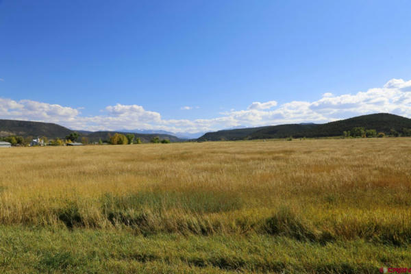 TBD HWY 550, COLONA, CO 81403 - Image 1