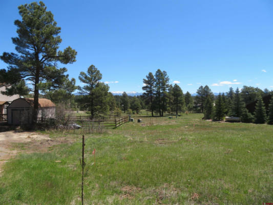 980 TRAILS BLVD, PAGOSA SPRINGS, CO 81147, photo 4 of 8