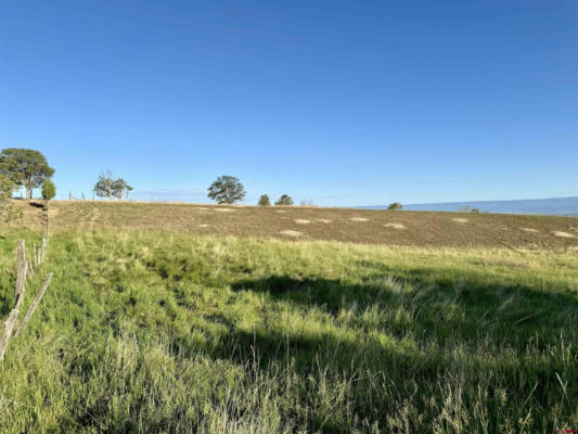 TBD FRUITLAND MESA ROAD, CRAWFORD, CO 81415, photo 5 of 24