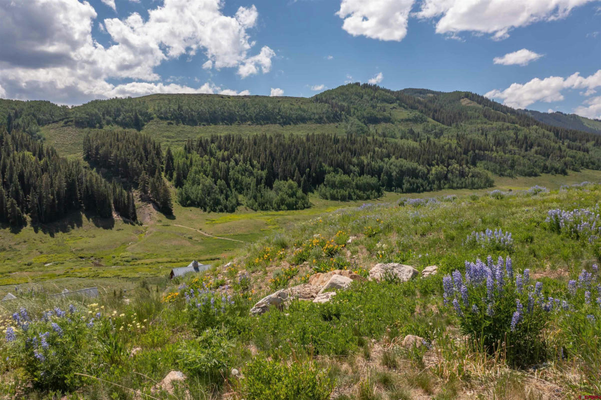 351 MEADOW DR, CRESTED BUTTE, CO 81224, photo 1 of 25