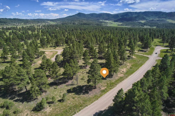 1458 TRAILS BLVD, PAGOSA SPRINGS, CO 81147 - Image 1