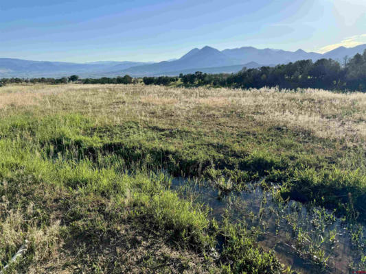 TBD BLACK SAGE ROAD, CRAWFORD, CO 81415, photo 4 of 35