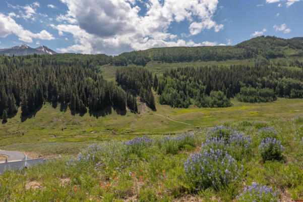 351 MEADOW DR, CRESTED BUTTE, CO 81224, photo 2 of 25