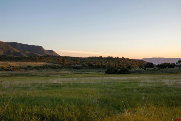 PARCEL D HWY 160, MANCOS, CO 81328, photo 4 of 6