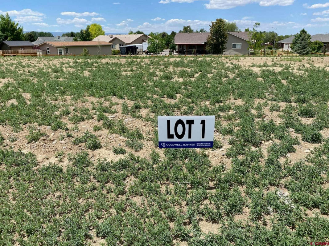 LOT 1 6700 ROAD, MONTROSE, CO 81401, photo 1 of 7