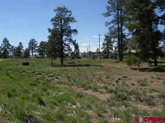 26 PAPOOSE CT, PAGOSA SPRINGS, CO 81147, photo 3 of 25