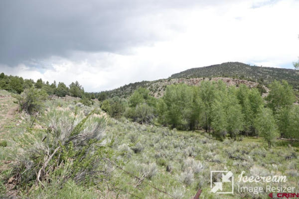 TBD FOX CREEK ROAD, MOGOTE, CO 81120 - Image 1