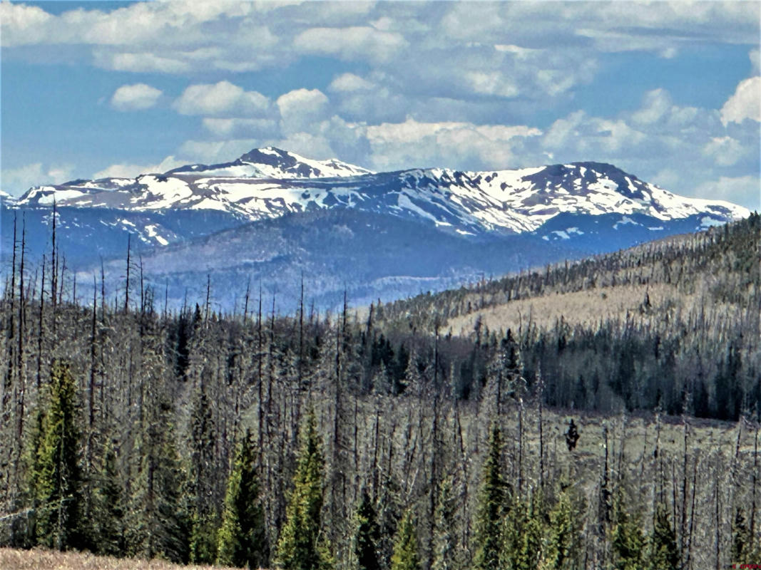 0 F.S. RD 610, CREEDE, CO 81130, photo 1 of 32