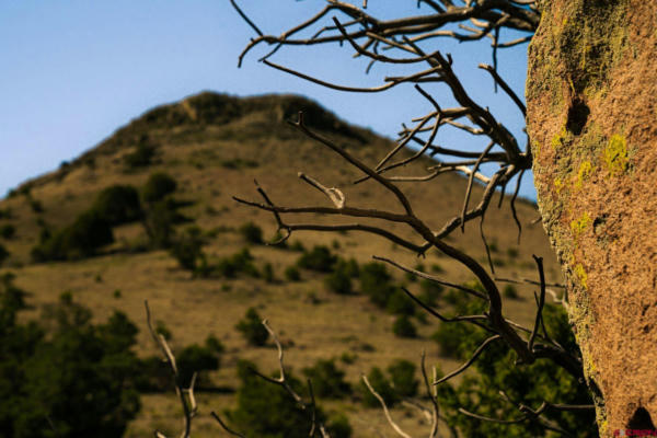 TRACT 42 WAPITI RIDGE ROAD, DEL NORTE, CO 81132, photo 5 of 9