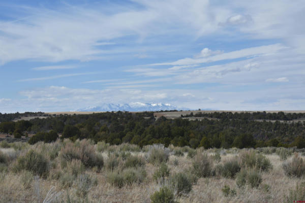 11425 ROAD 6.5, CAHONE, CO 81320 - Image 1