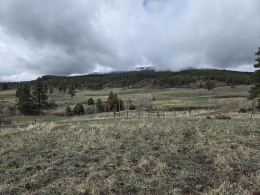 4410 COUNTY ROAD 359, PAGOSA SPRINGS, CO 81147, photo 5 of 20