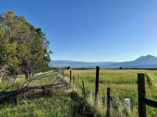 TBD FRUITLAND MESA ROAD, CRAWFORD, CO 81415, photo 4 of 24