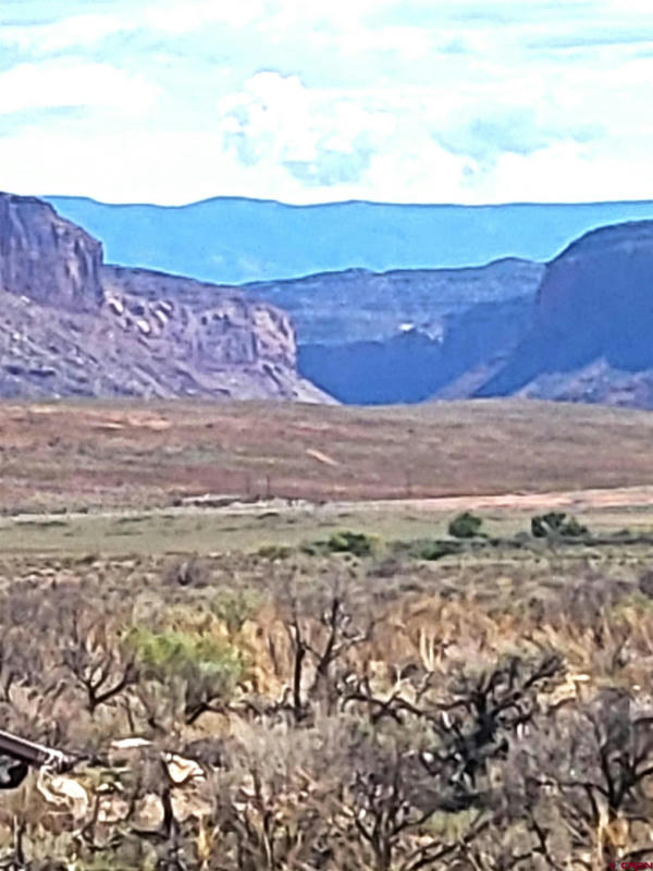 UNASSIGNED HIGHWAY 90, BEDROCK, CO 81411, photo 1 of 15