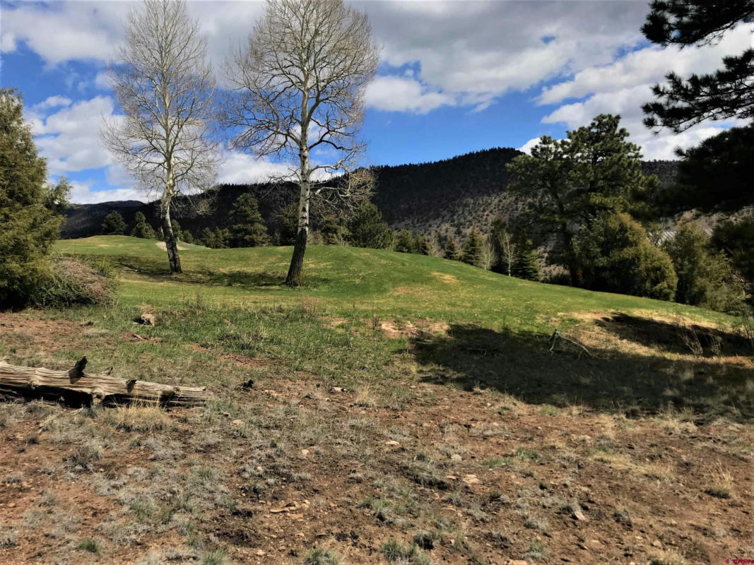 51 MOJAVE CT, SOUTH FORK, CO 81154, photo 1 of 4