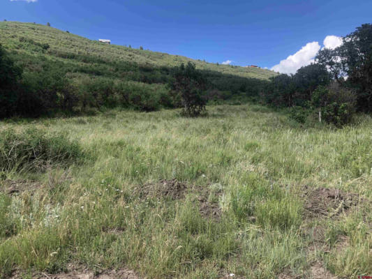 LOT 61 GLADES RANCH PHASE 3/ROAD H.4, DOLORES, CO 81323 - Image 1