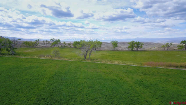 TBD MIGUEL ROAD, MONTROSE, CO 81401, photo 2 of 26