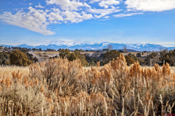 TBD ROAD 25, DOLORES, CO 81323, photo 4 of 24