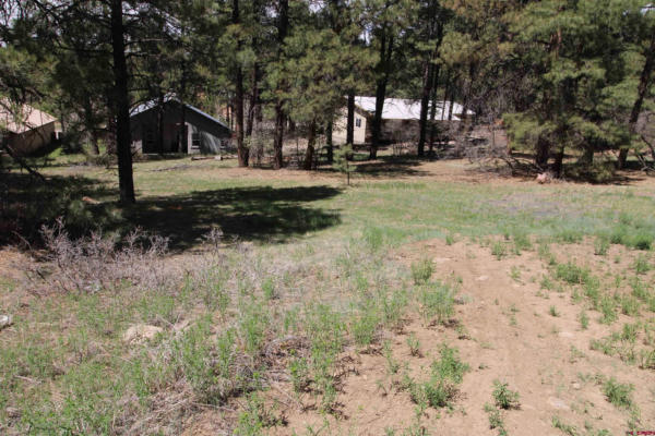 2090 COUNTY ROAD 600, PAGOSA SPRINGS, CO 81147, photo 3 of 13