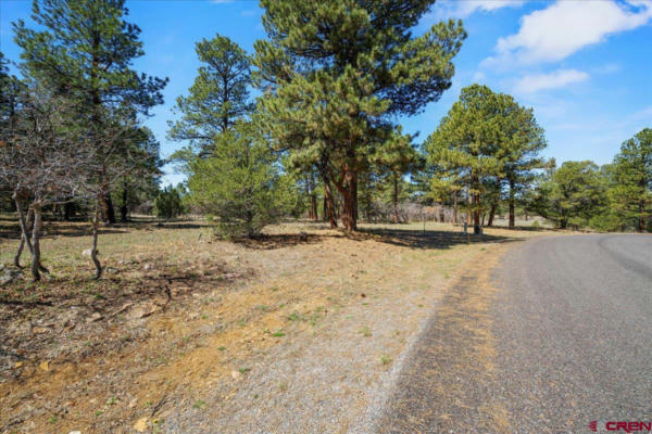 TBD LOT 430 S BADGER TRAIL, RIDGWAY, CO 81432, photo 5 of 14