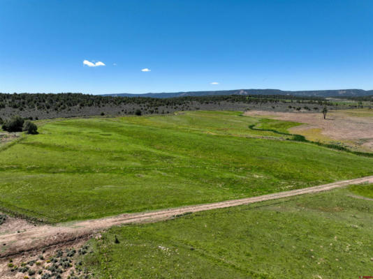 1498 COUNTY ROAD 314, IGNACIO, CO 81137 - Image 1