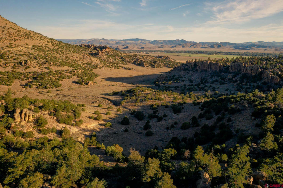 TRACT 42 WAPITI RIDGE ROAD, DEL NORTE, CO 81132, photo 1 of 9