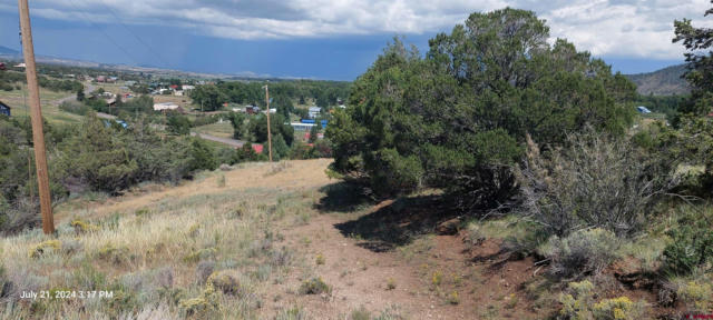 346 SHIRLEY DR, SOUTH FORK, CO 81154, photo 2 of 6