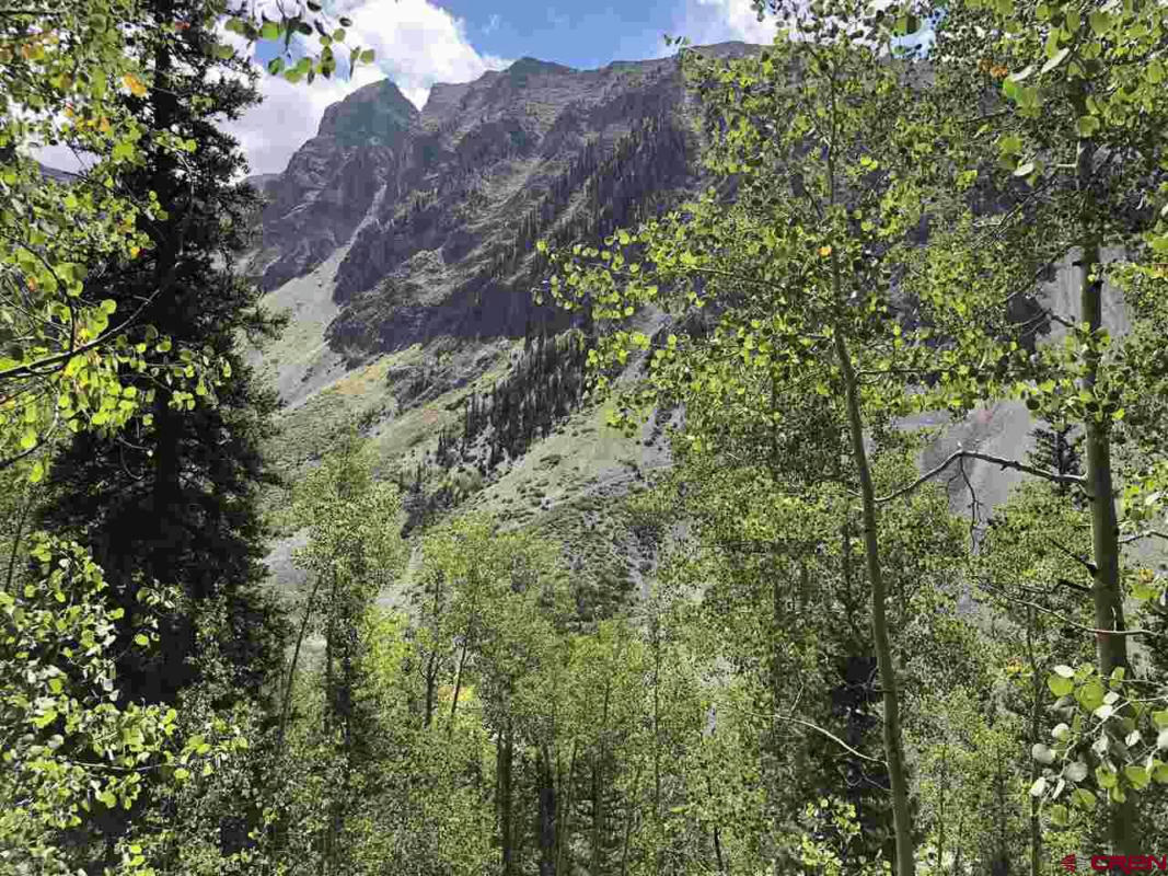 LITTLE GIANT COUNTY ROAD 21, SILVERTON, CO 81433, photo 1 of 8