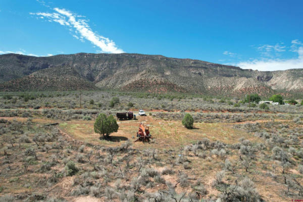 UNASSIGNED HIGHWAY 90, BEDROCK, CO 81411, photo 3 of 15