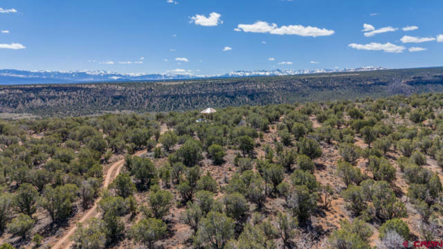 21200 SERPENTINE TRL, MONTROSE, CO 81403, photo 3 of 35