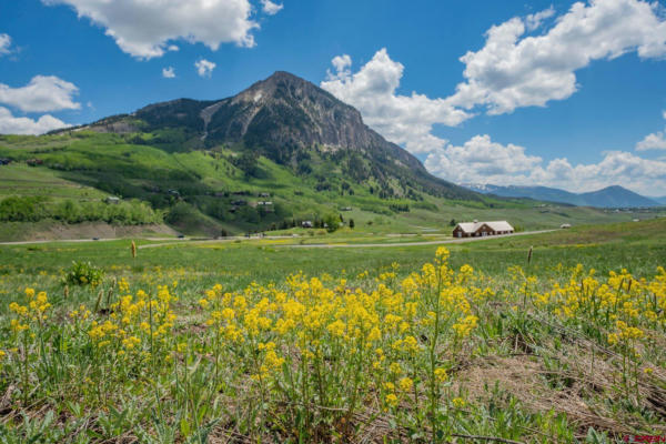 375 SADDLE RIDGE RANCH RD, CRESTED BUTTE, CO 81224 - Image 1