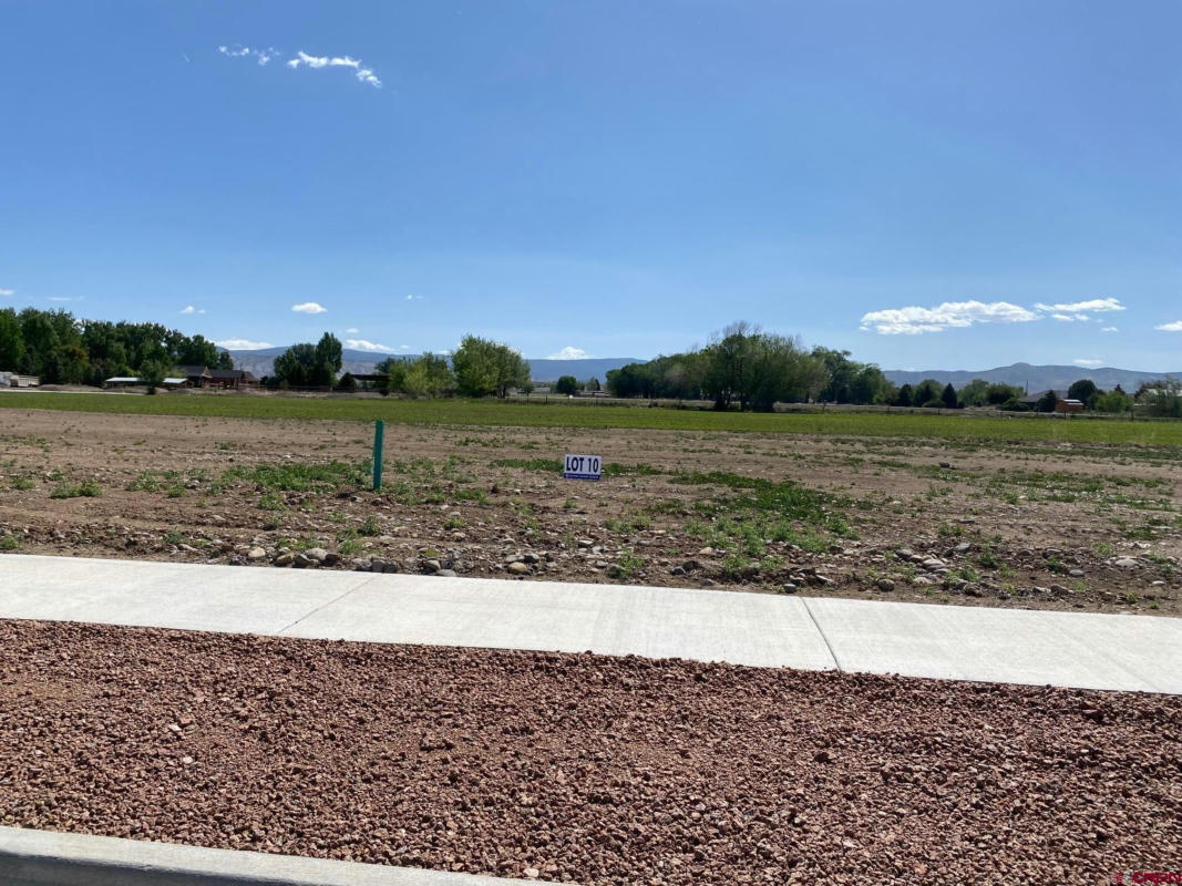 LOT 10 6700 ROAD, MONTROSE, CO 81401, photo 1 of 8