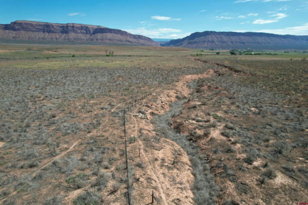 UNASSIGNED HIGHWAY 90, BEDROCK, CO 81411, photo 5 of 15