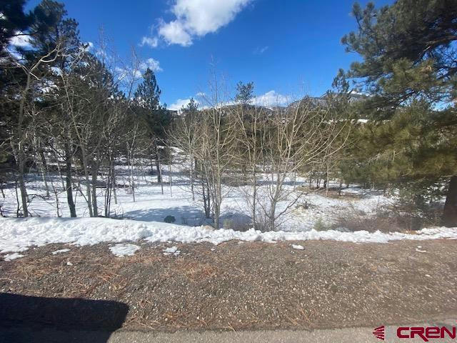 798 ESCONDIDA DR, SOUTH FORK, CO 81154, photo 1 of 6