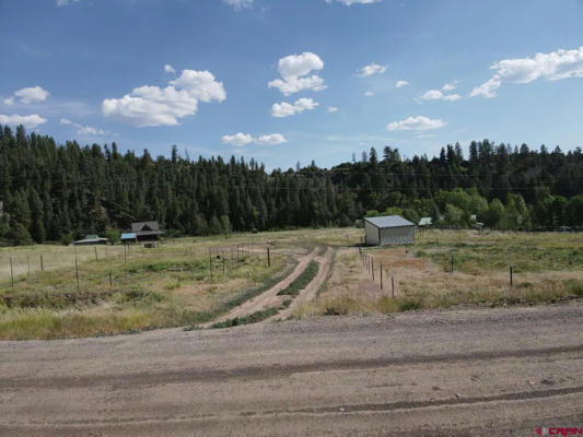 5280 COUNTY ROAD 335, PAGOSA SPRINGS, CO 81147 - Image 1