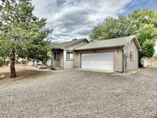 20689 DEL RAY DR, ECKERT, CO 81418 - Image 1