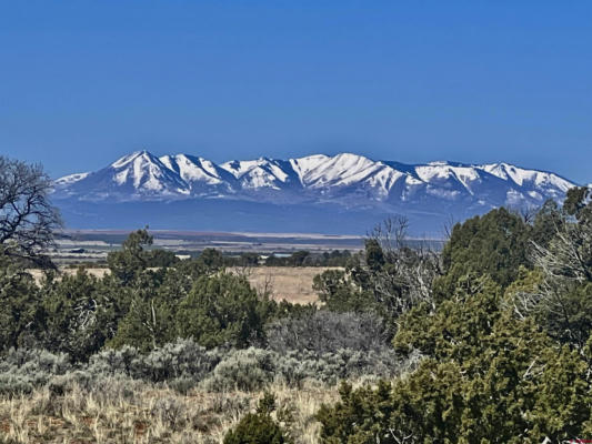 56668 HIGHWAY 491, CAHONE, CO 81320 - Image 1