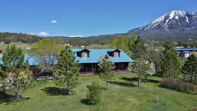 42184 FOOTHILLS RD, PAONIA, CO 81428 - Image 1