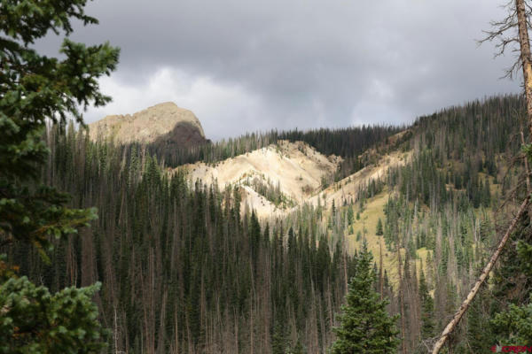 X2 FOREST SERVICE ROAD 380, PLATORO, CO 81120, photo 5 of 13