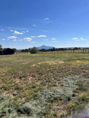 TBD ROAD S.85, DOLORES, CO 81323, photo 2 of 4