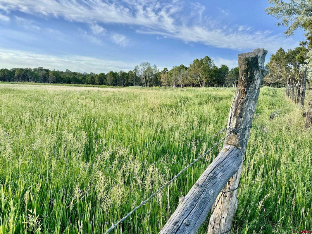 TBD BLACK SAGE ROAD, CRAWFORD, CO 81415, photo 1 of 35