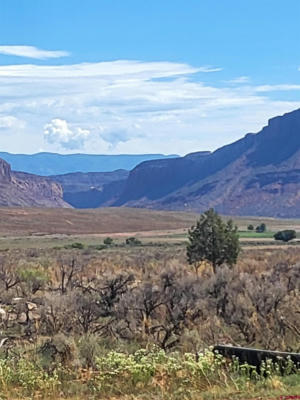 UNASSIGNED HIGHWAY 90, BEDROCK, CO 81411, photo 4 of 15