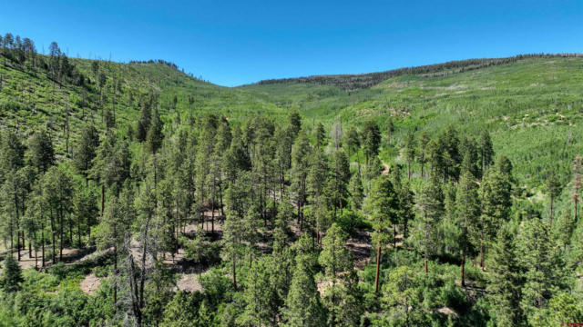 TBD CR 240, DURANGO, CO 81301 - Image 1