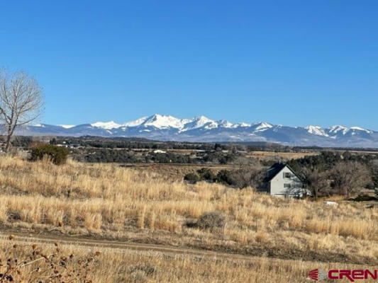 TBD HWY 184, LEWIS, CO 81327, photo 2 of 15