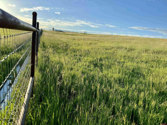 TBD BLACK SAGE ROAD, CRAWFORD, CO 81415, photo 5 of 35