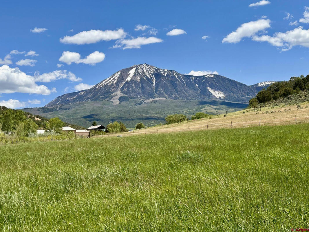 PARCEL D - TBD LAMBORN MESA ROAD, PAONIA, CO 81428, photo 1 of 22