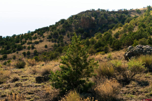 TRACT 42 WAPITI RIDGE ROAD, DEL NORTE, CO 81132, photo 3 of 9